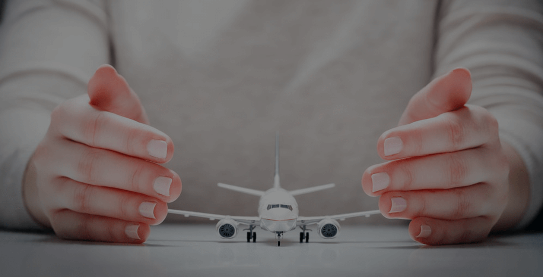 air charter service bluedot